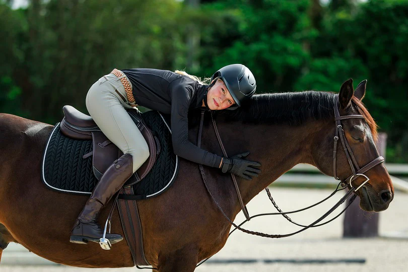 Excellence for Horse and Rider